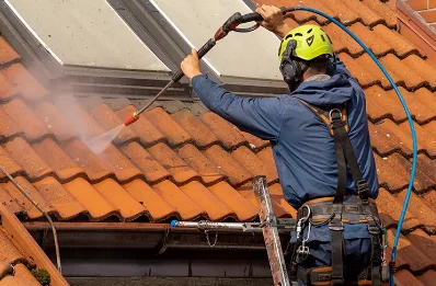 Démoussage et hydrofuge de toiture à Quincieux